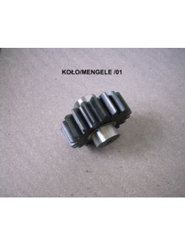 Koło zębate Z-19