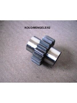 Koło zębate Z-19, wielowpust 6