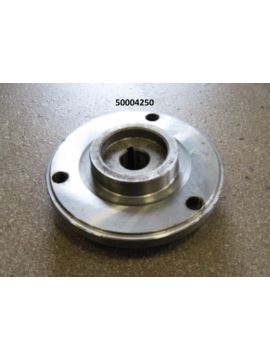 Piasta pompy wtryskowej