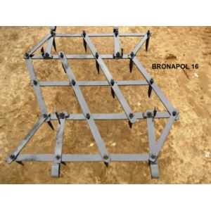 Brona polowa ząb 16