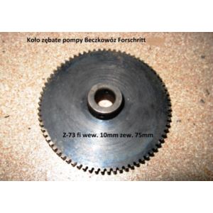 Koło zębate pompy Z-73