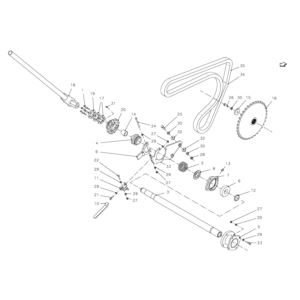 Koło łańcuchowe Z-35 1 1/4" wielowpust