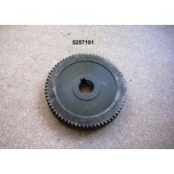 Koło zębate skośne Z-69 fi 94/17mm