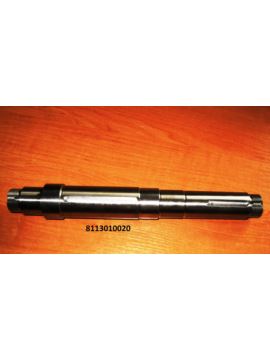 Wałek napędu /wirnika/ Bijak RB