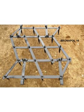 Brona polowa ząb 16